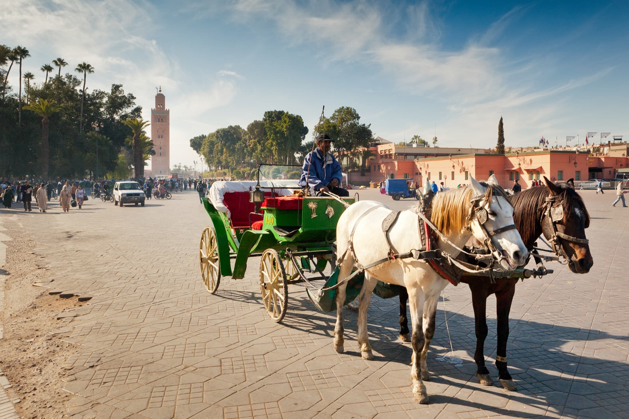 Food cart on Jemaa el-Fnaa